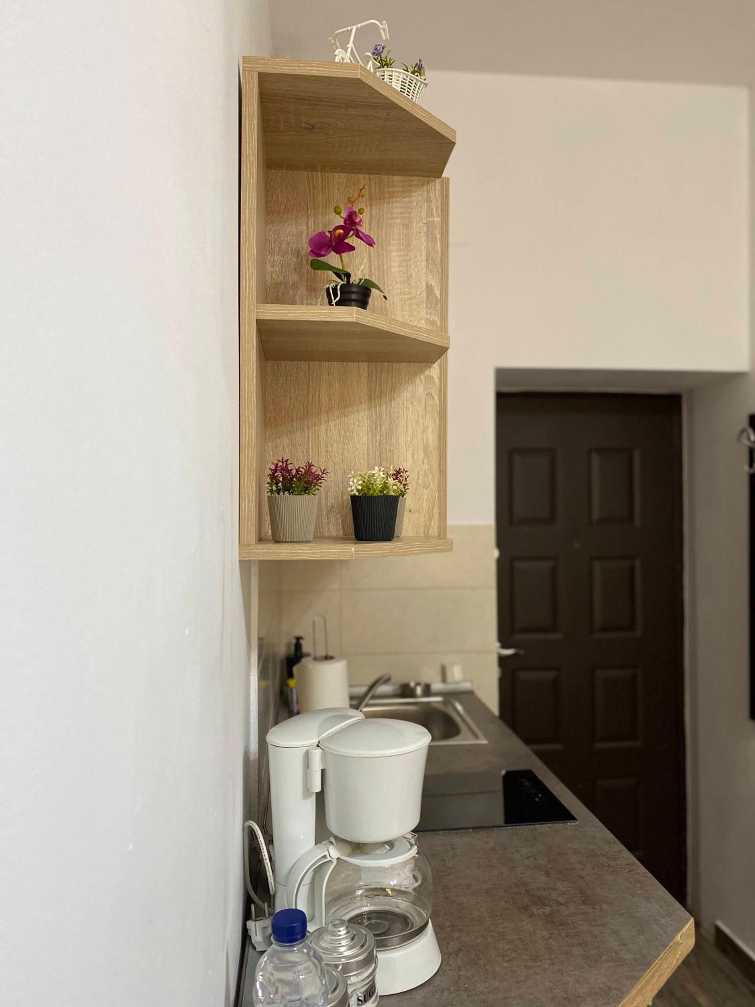 Ada'S Luxury Apartament&Studio - Old City ブラショフ エクステリア 写真