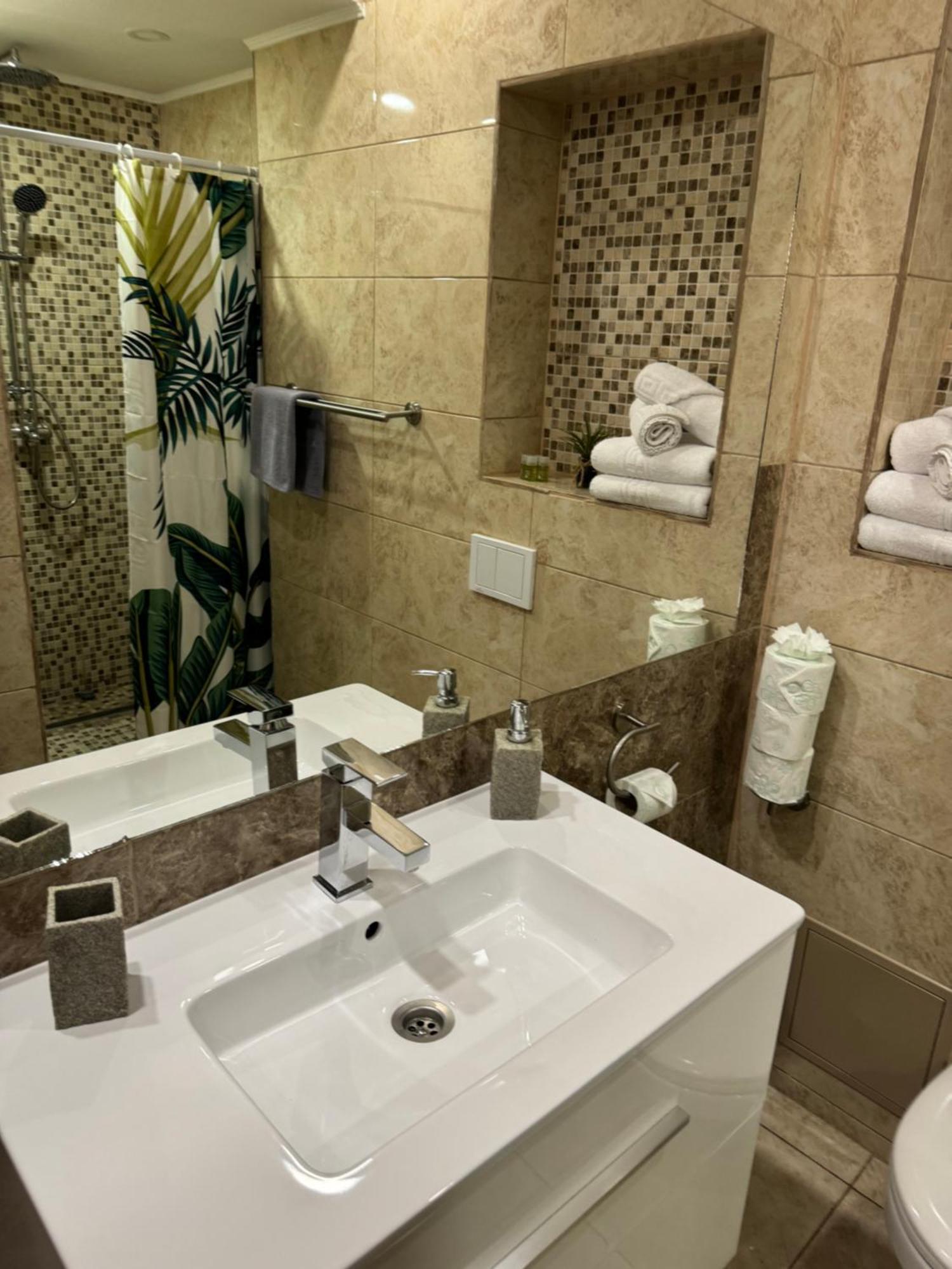 Ada'S Luxury Apartament&Studio - Old City ブラショフ エクステリア 写真