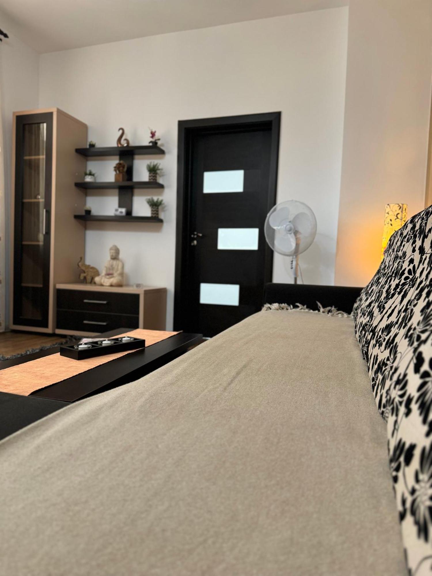 Ada'S Luxury Apartament&Studio - Old City ブラショフ エクステリア 写真